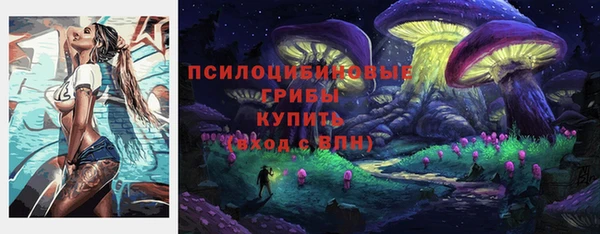 гидропоника Зеленокумск