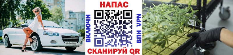 Канабис семена  Купить закладки  Новопавловск 
